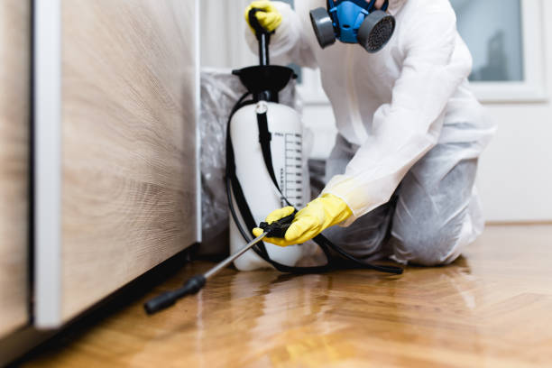 Best Pest Control Near Me in South Portland, ME