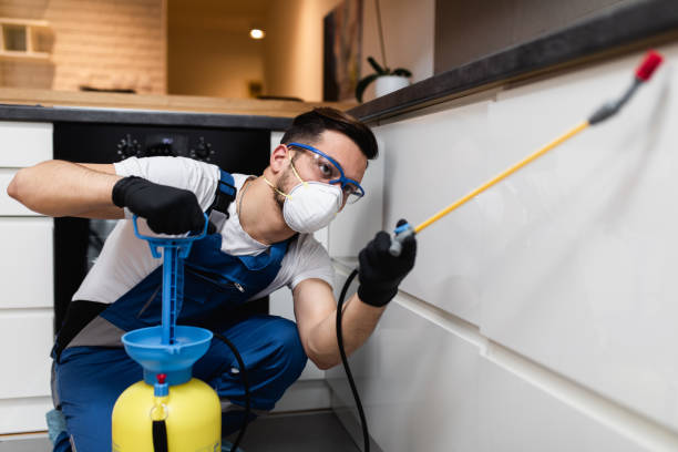 Best Affordable Pest Control Services  in South Portland, ME