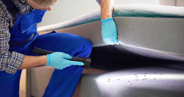 Best Mosquito Control Services  in South Portland, ME