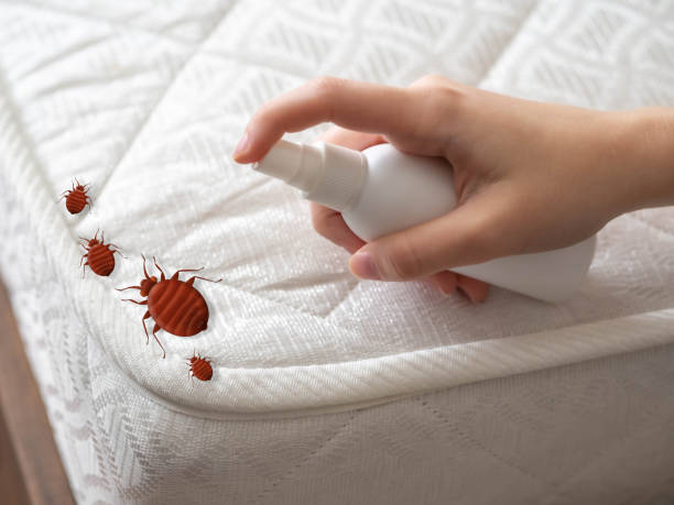 Best Best Pest Control Near Me  in South Portland, ME