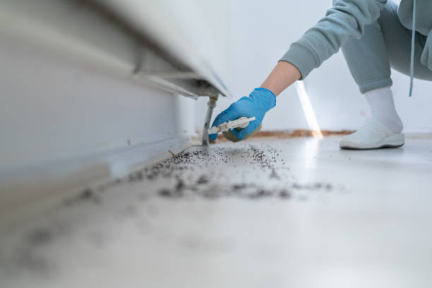  South Portland, ME Pest Control Pros
